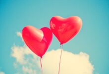 Kdy má svátek Davor